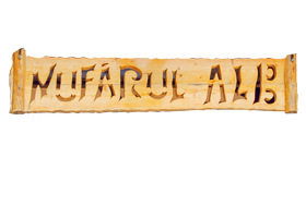 Nufarul Alb-Logo