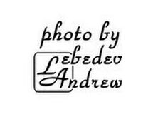 Лого Андрей Лебедев Фотограф Лого Андрей Лебедев Фотограф